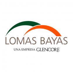 Lomas Bayas (Glencore)